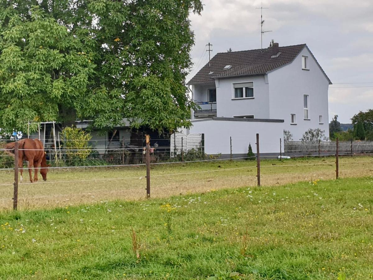 博恩海姆Haus Im Gruenen别墅 外观 照片